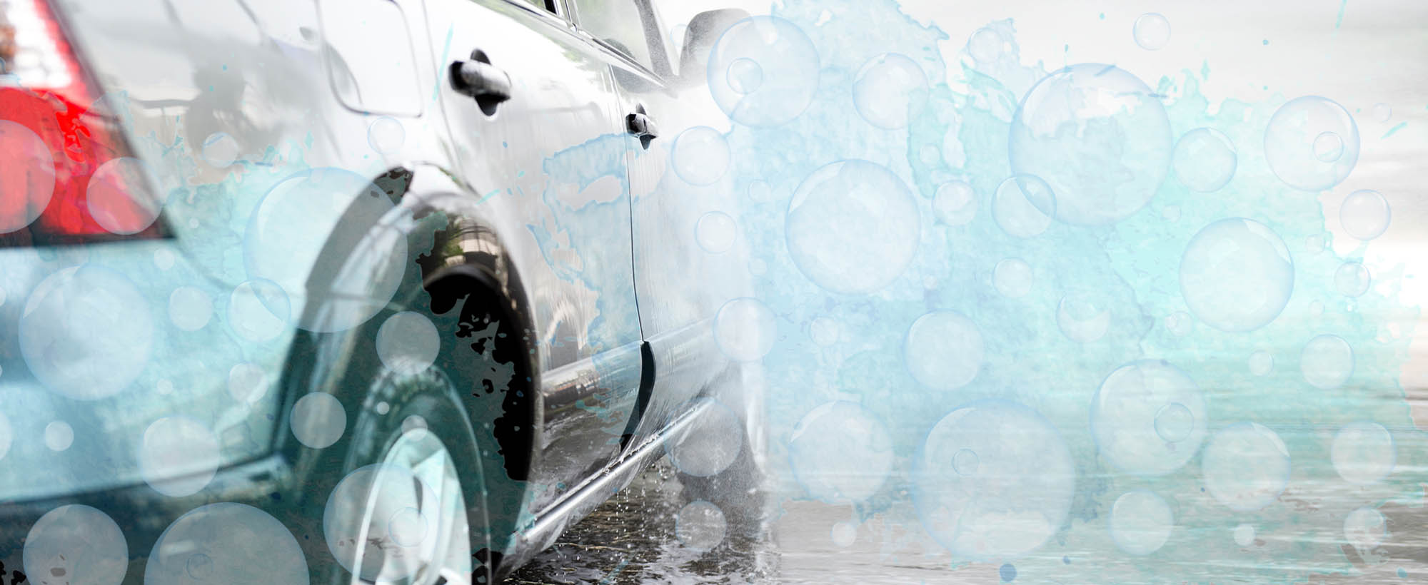 Friendly Bear Car Wash